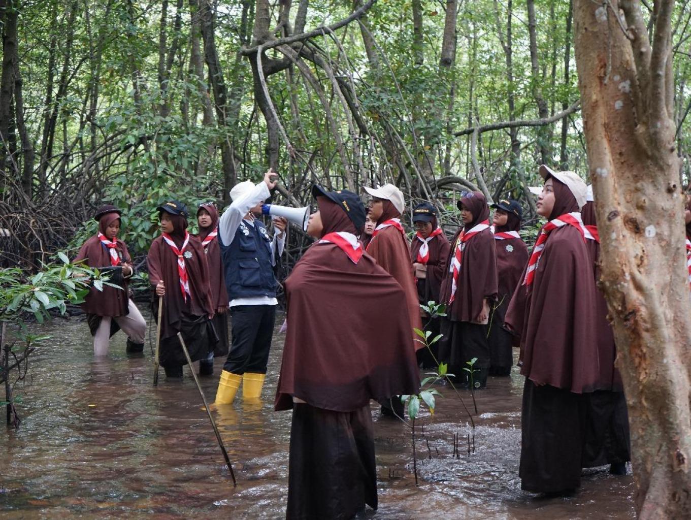 Edukasi Tentang Pelestarian Alam  Mangrove Di Ekowisata Mangrove Pandang Tak Jemu