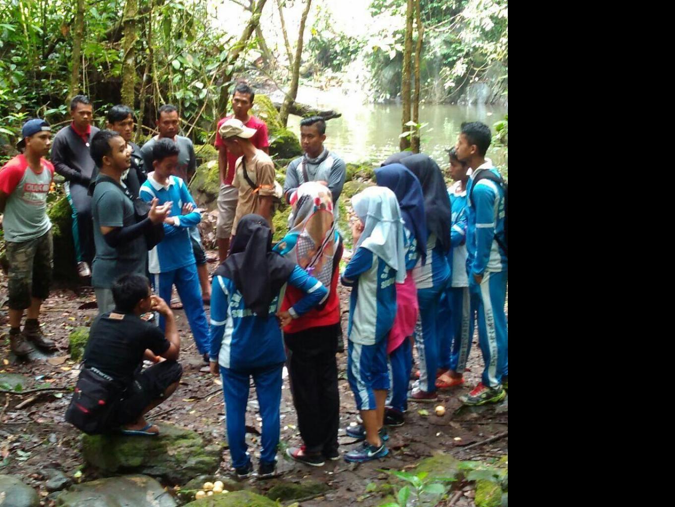 Jungle Tracking