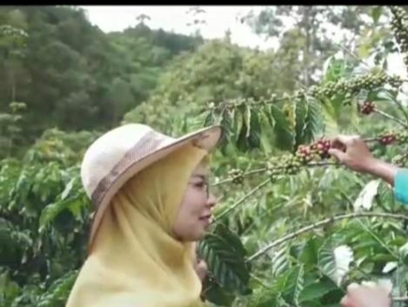 Coffee Field Trip
