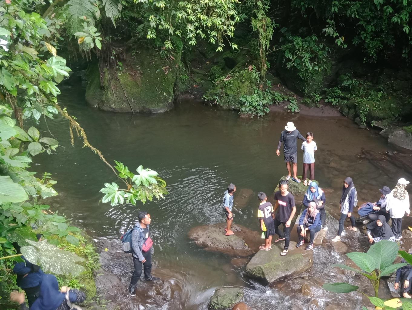 Jungle Tracking