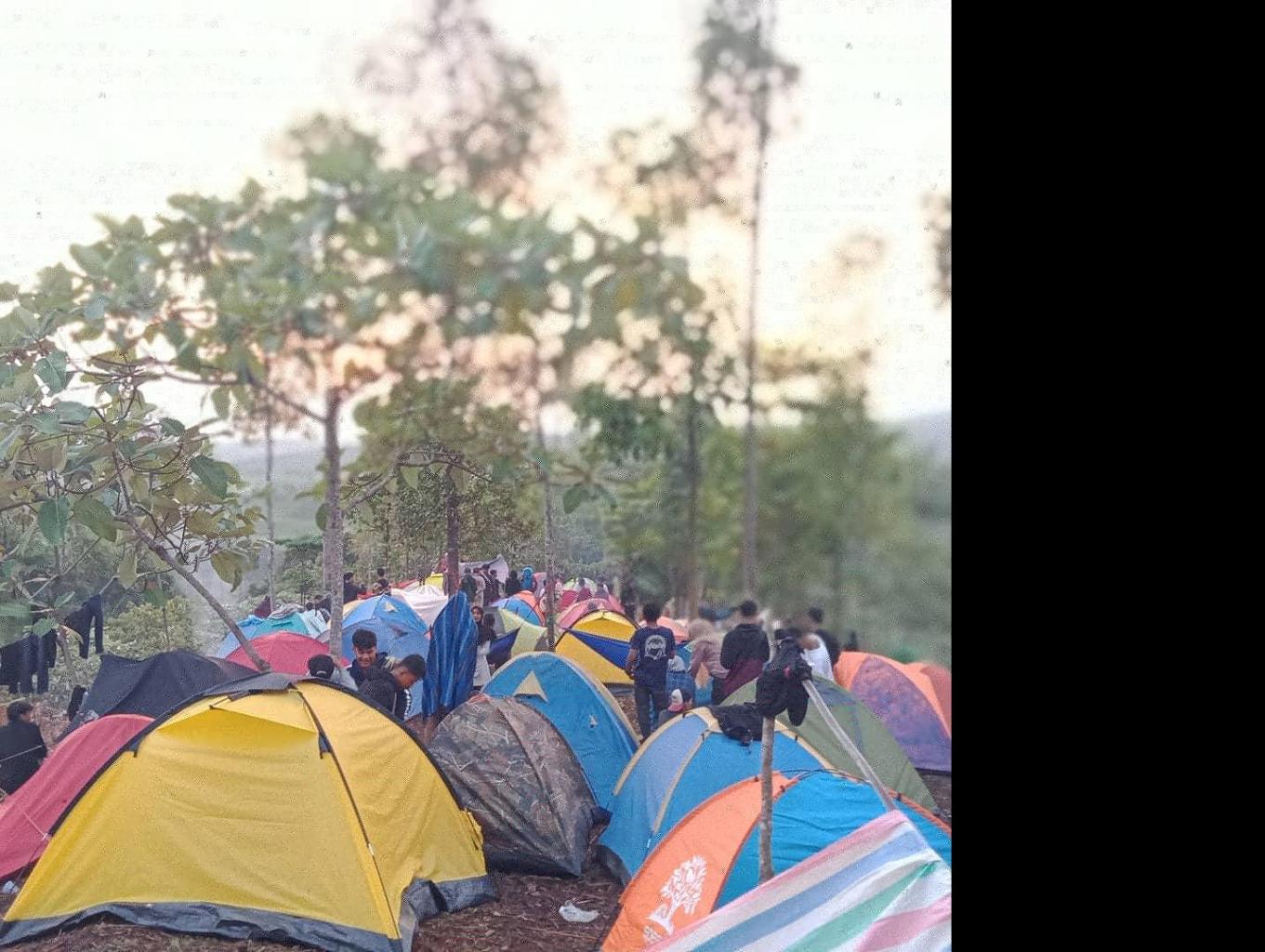 Camping