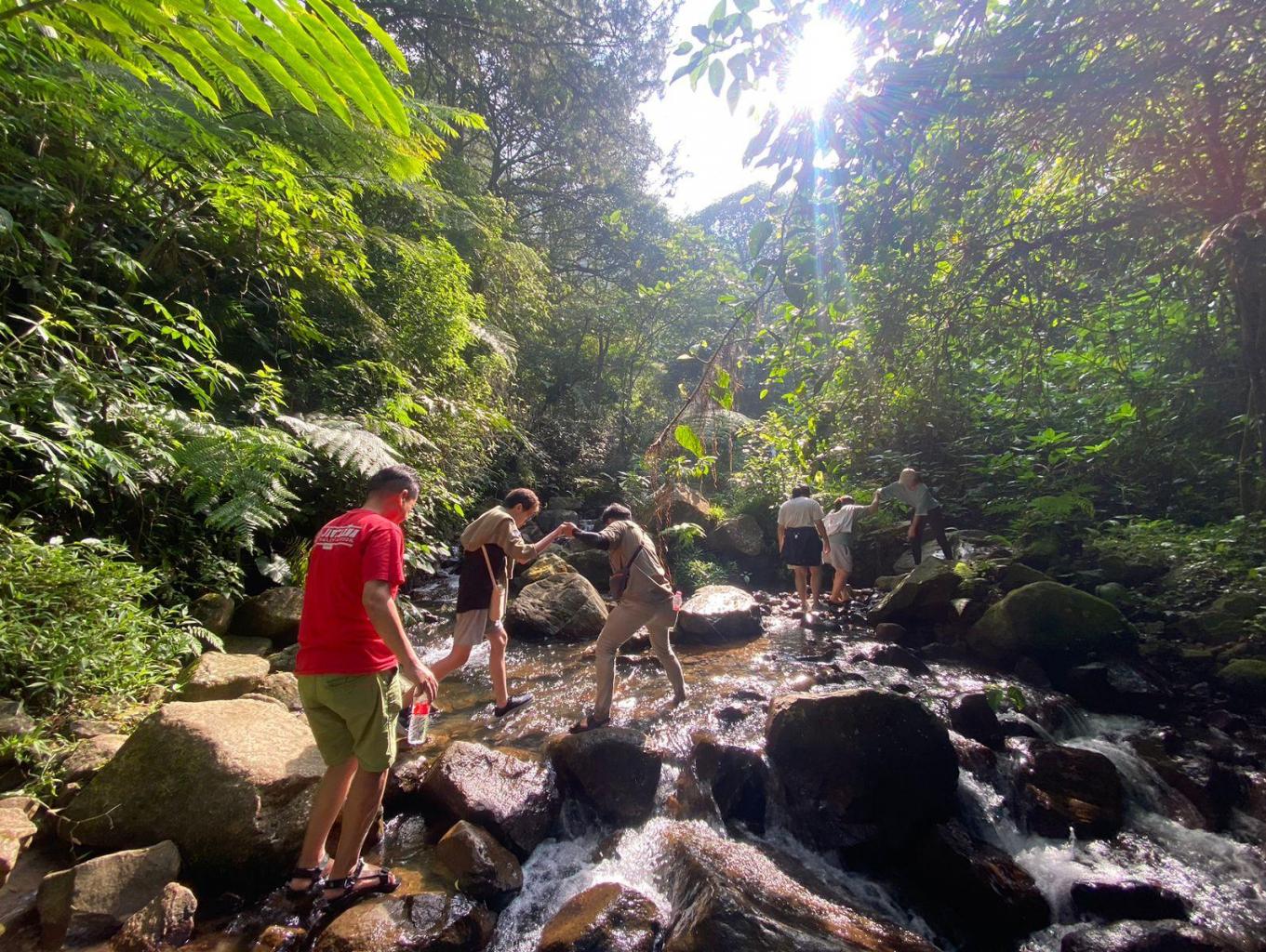 Jungle Track