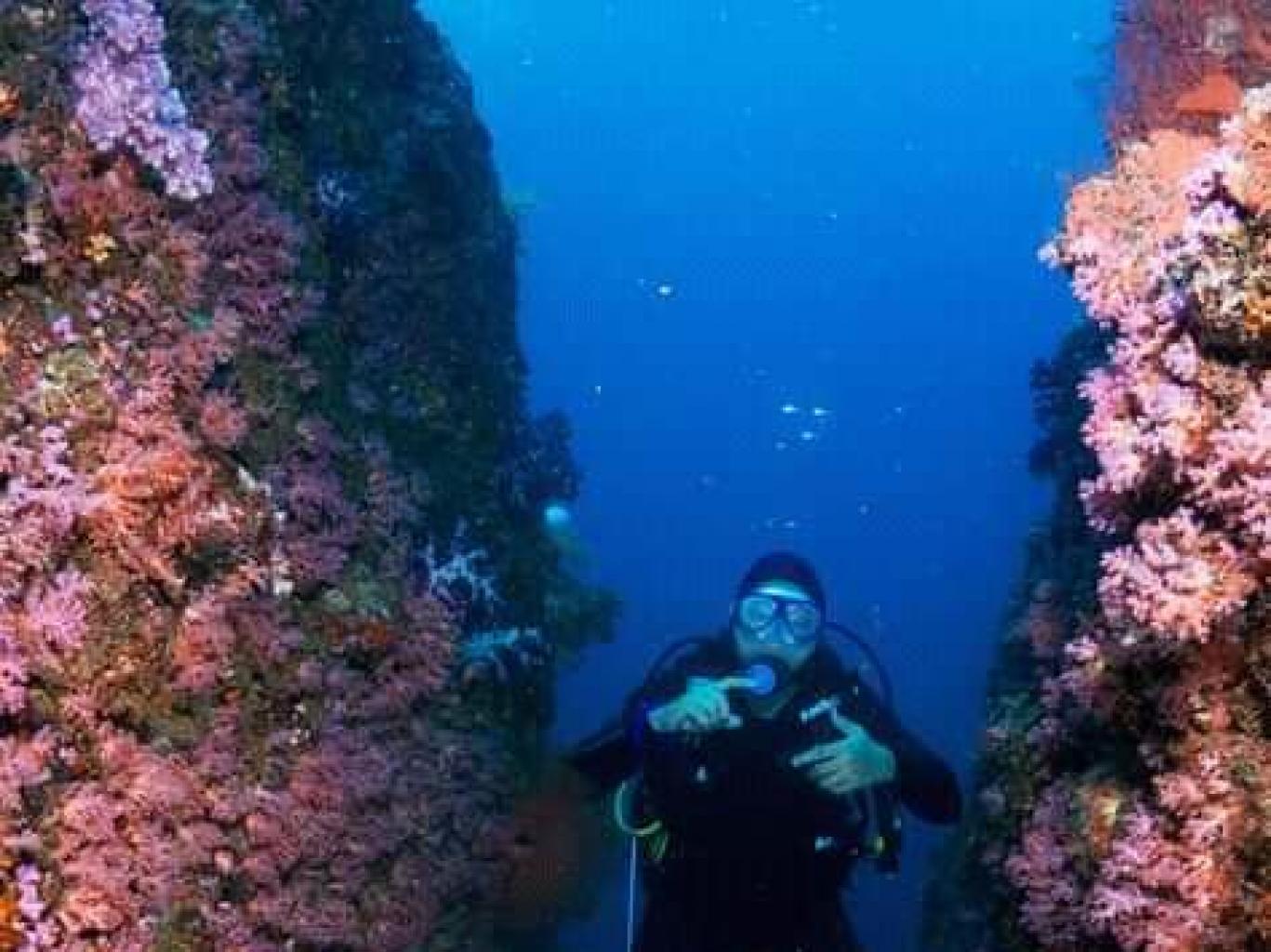 Wisata Selam