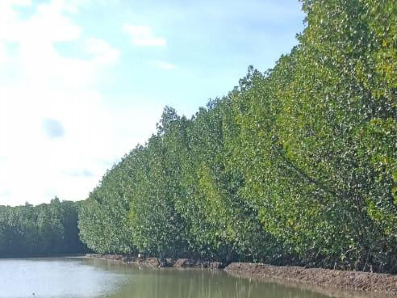 Hiasan Laut