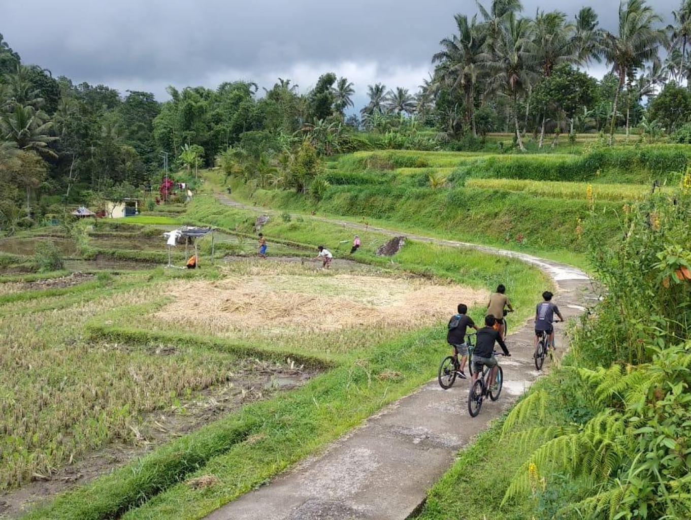 Cycling Tour