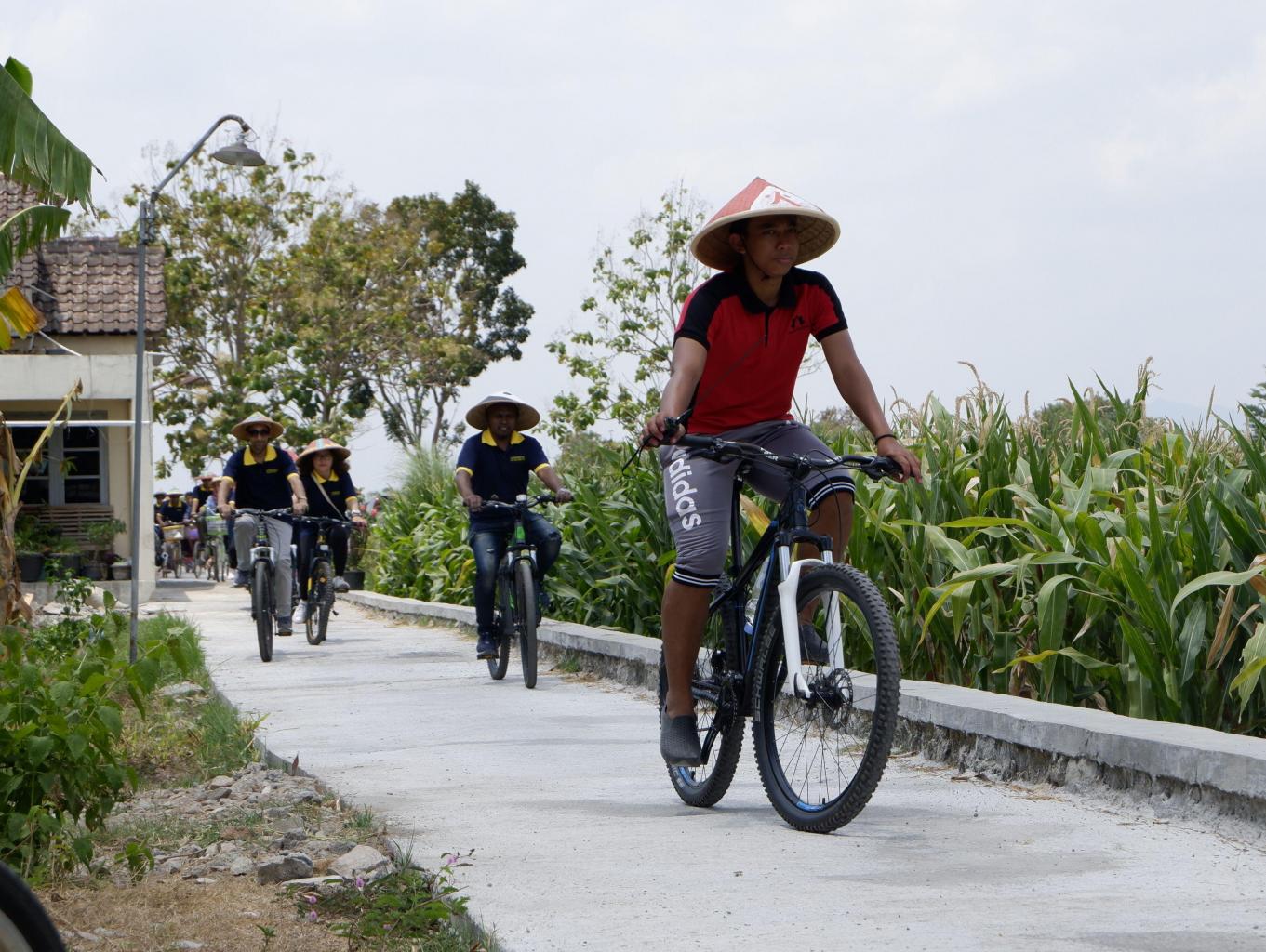Cycling Tour