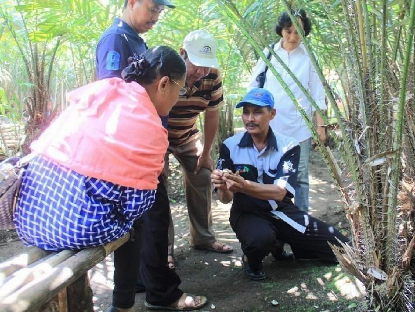 Wisata Kebun Petik Salak