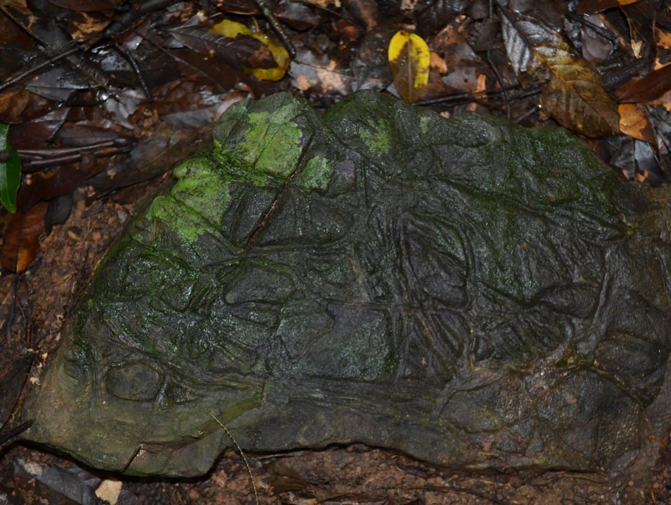 Batu Corak Alam