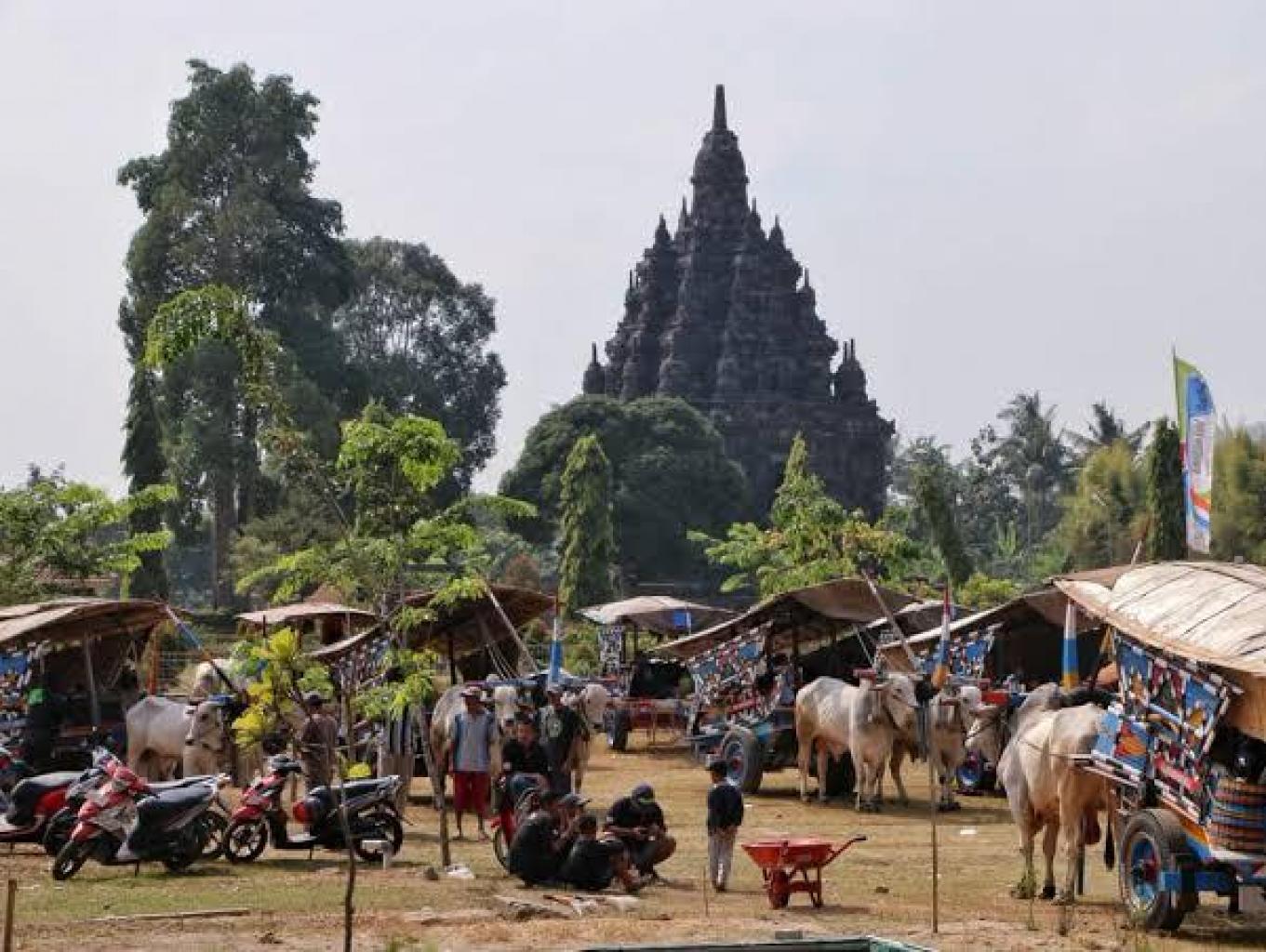 Festival  Gerobak Sapi