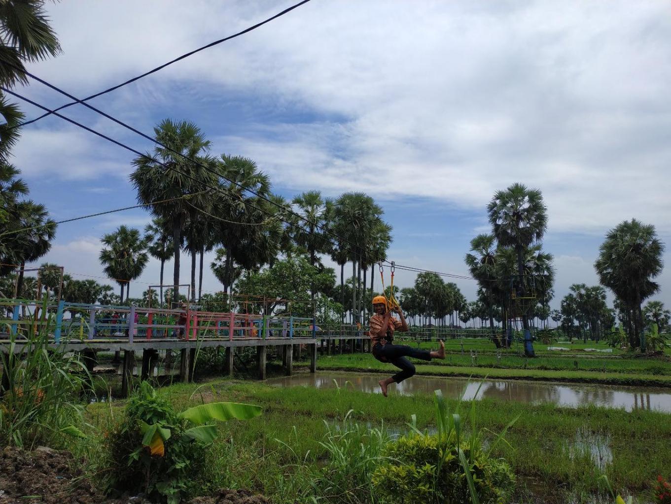 Flying Fox