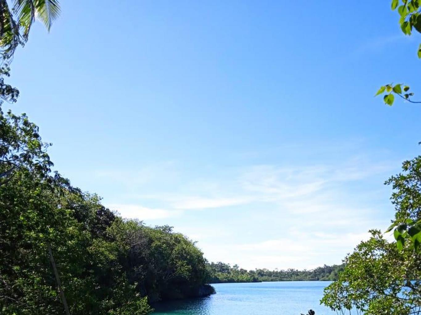 Teluk Ohoililir