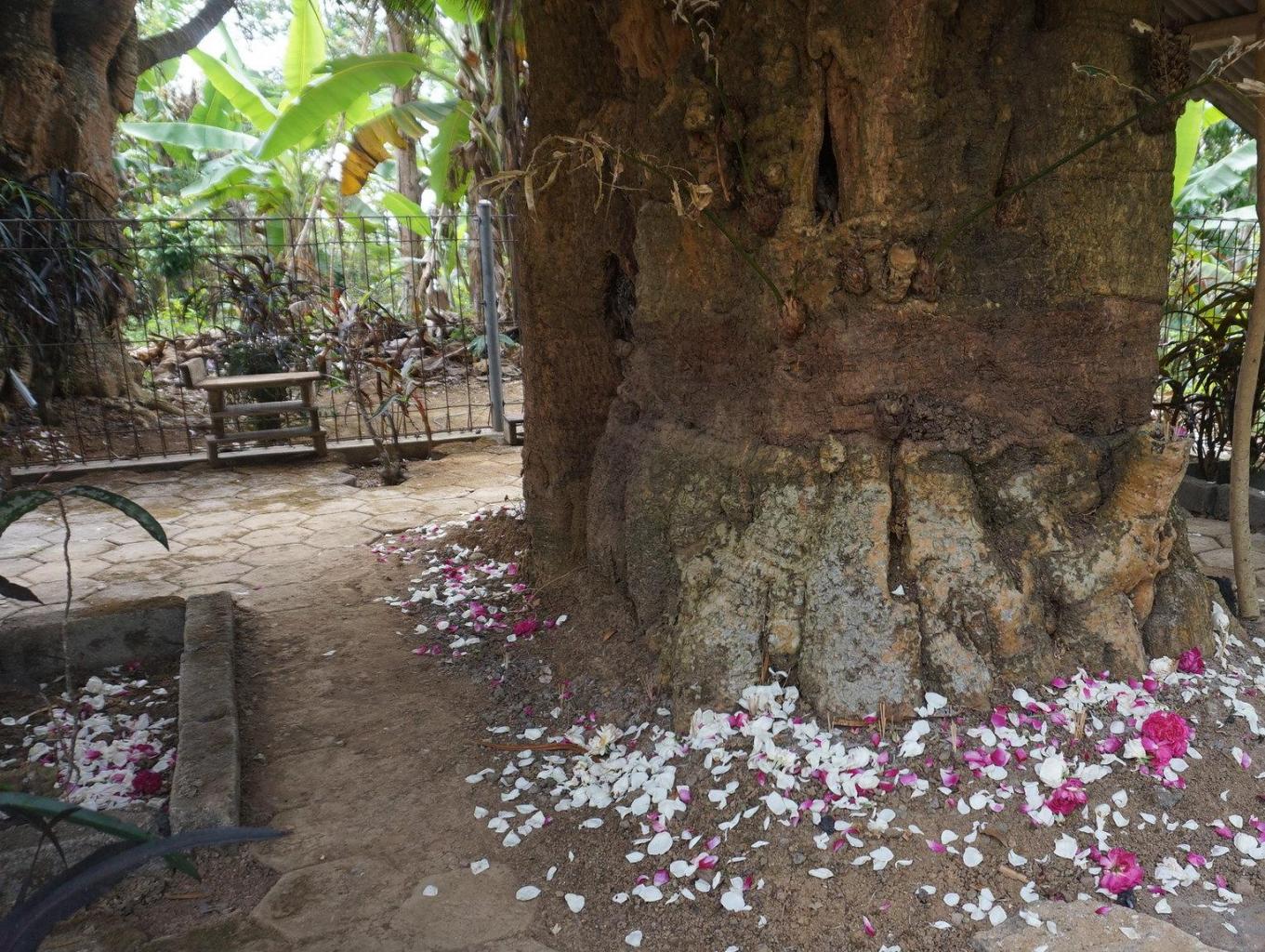 Makam Gunung Jadi