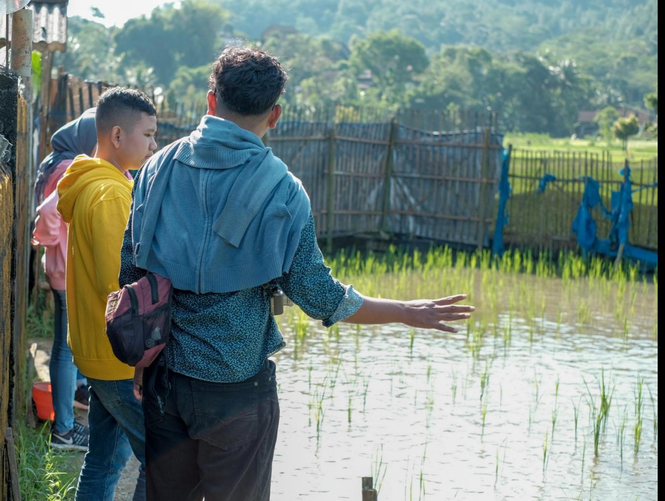 Belajar Budidaya Minapadi