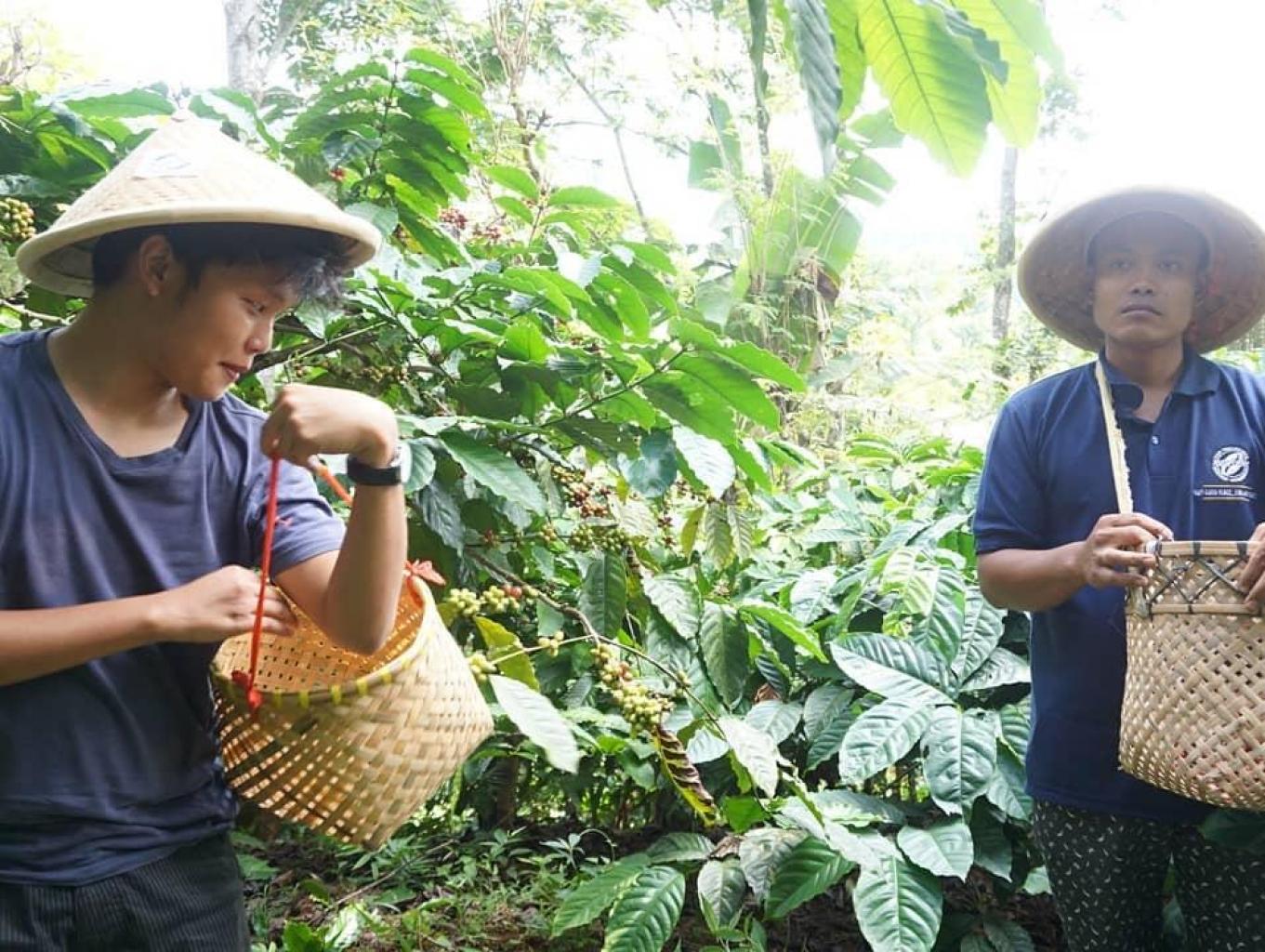 Garden Coffe Trip