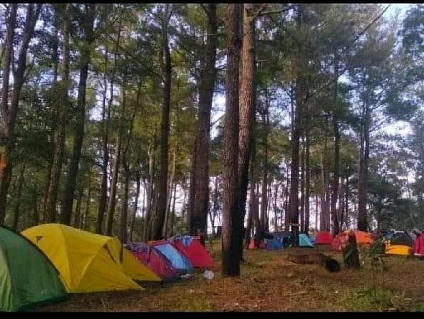 Camping