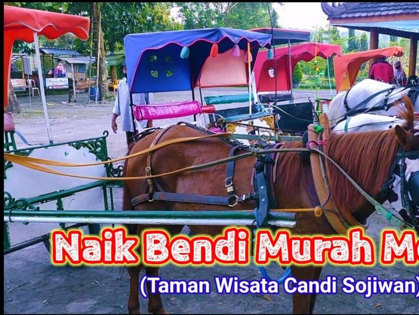 Naik Bendi Wisata