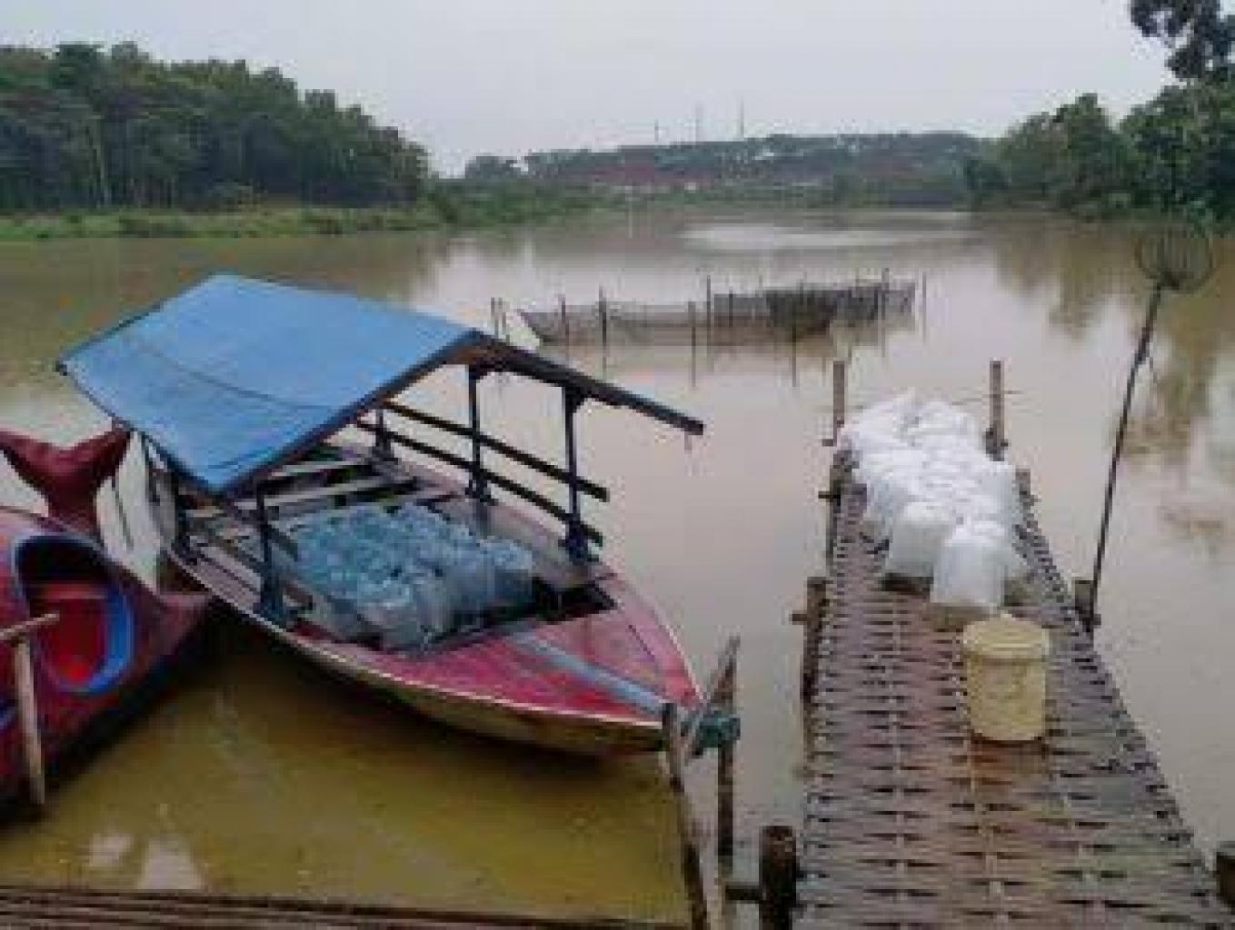 Reatocking Ikan