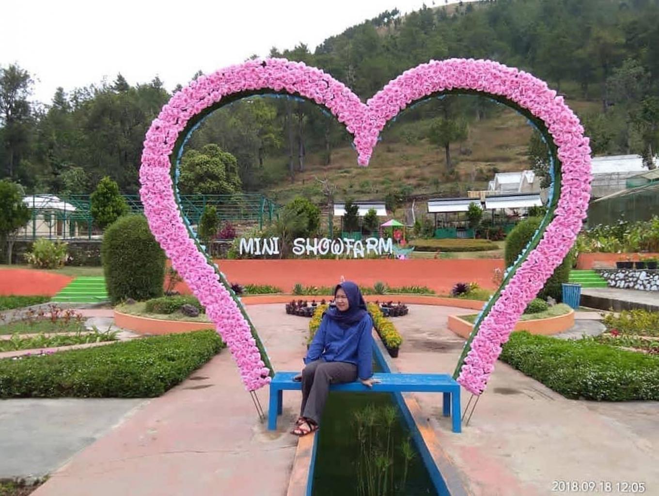 Mini Show Farm