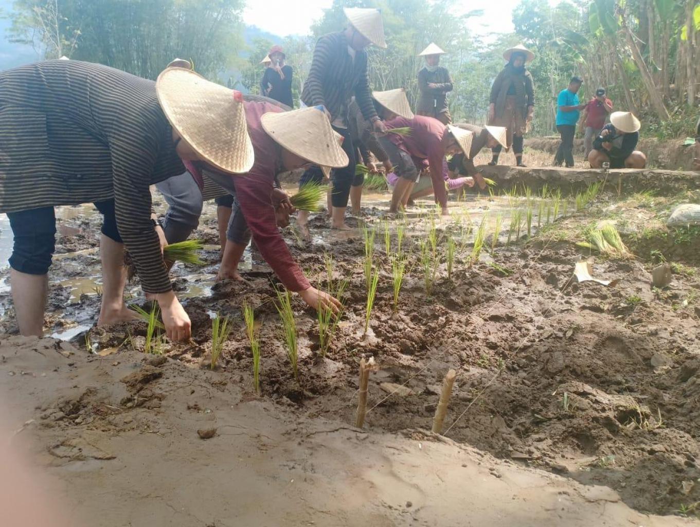Paket Wisata Tradisional Farming