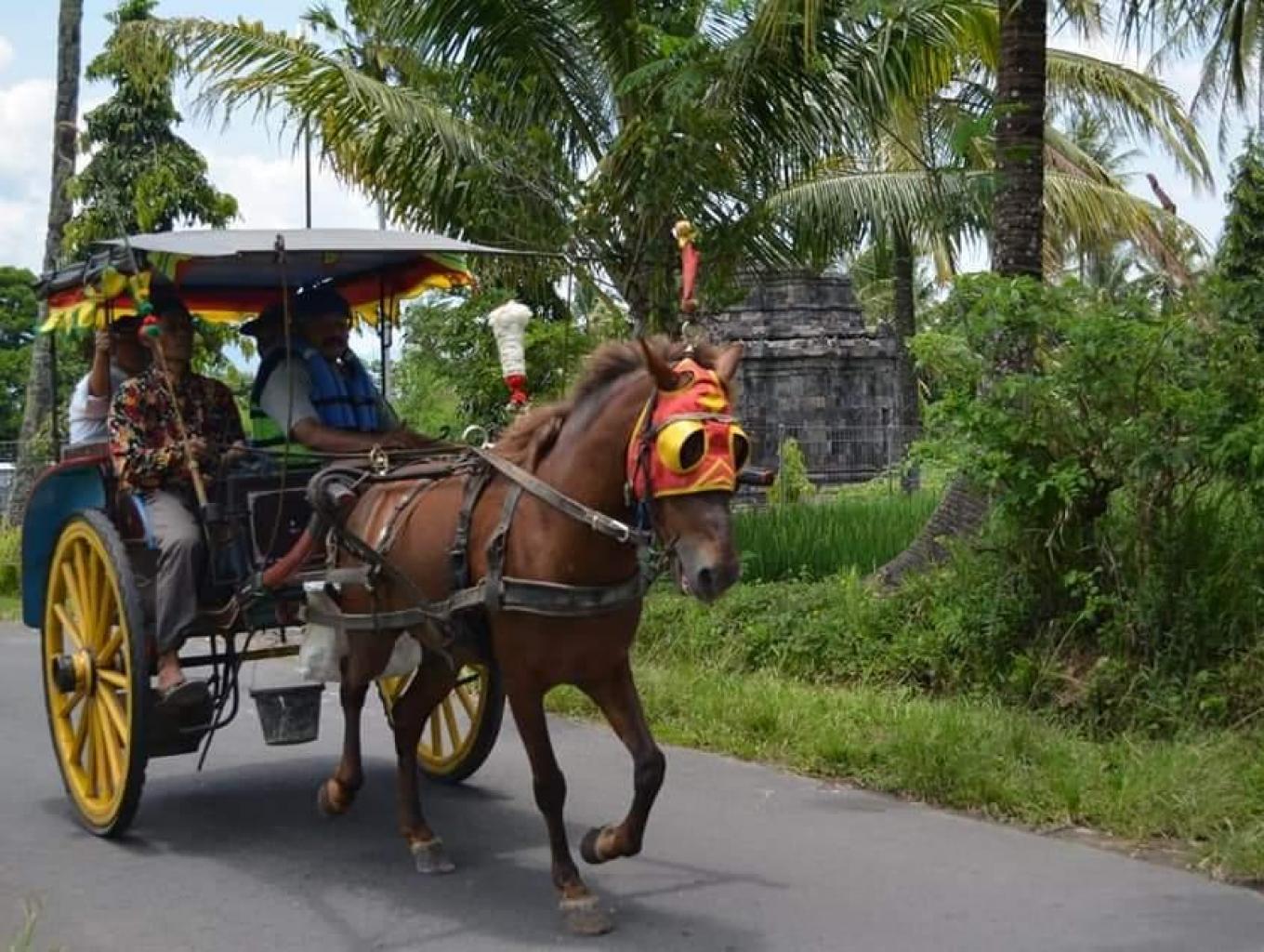 Jelajah Desa