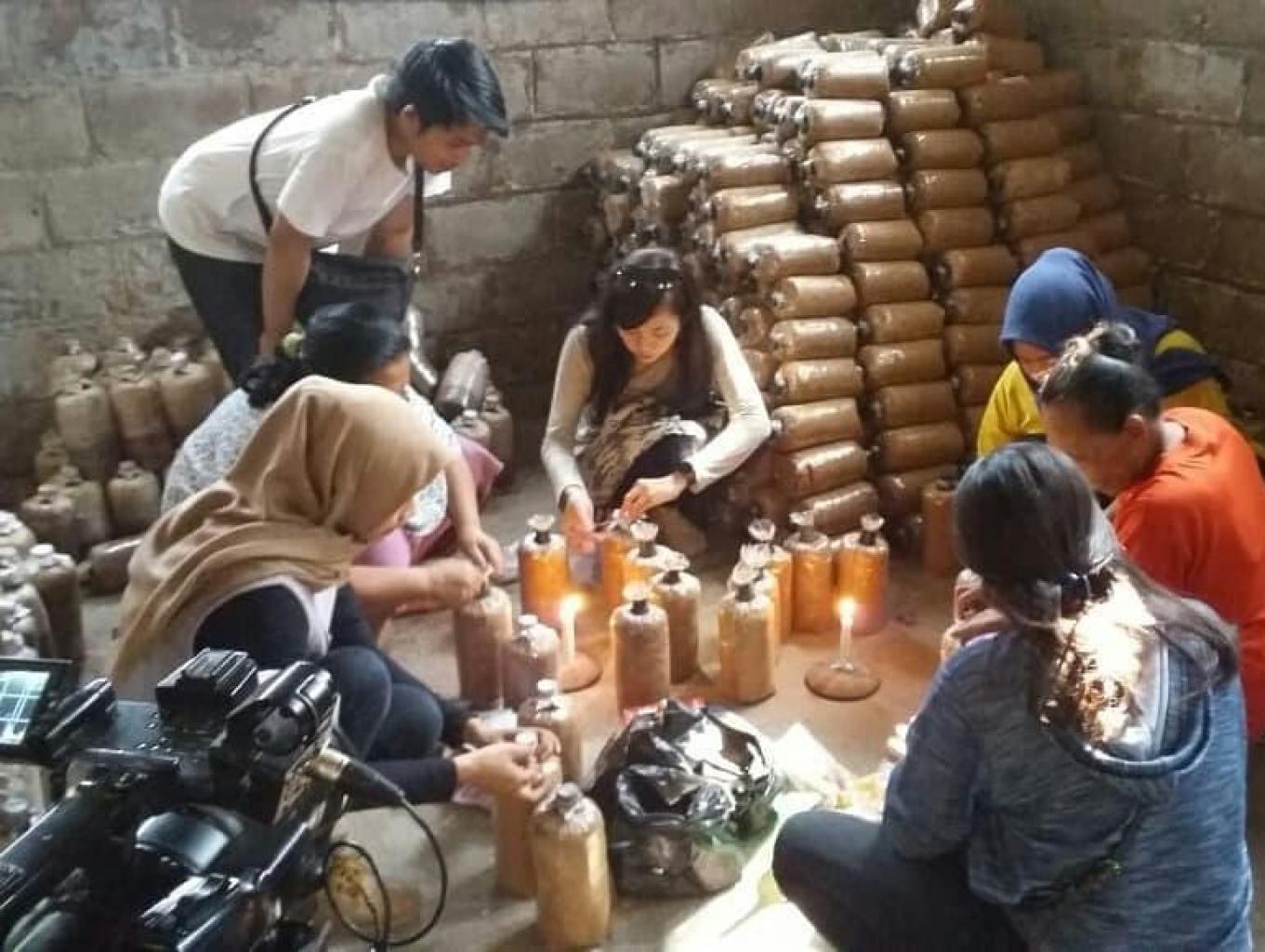 Budidaya Jamur Tiram