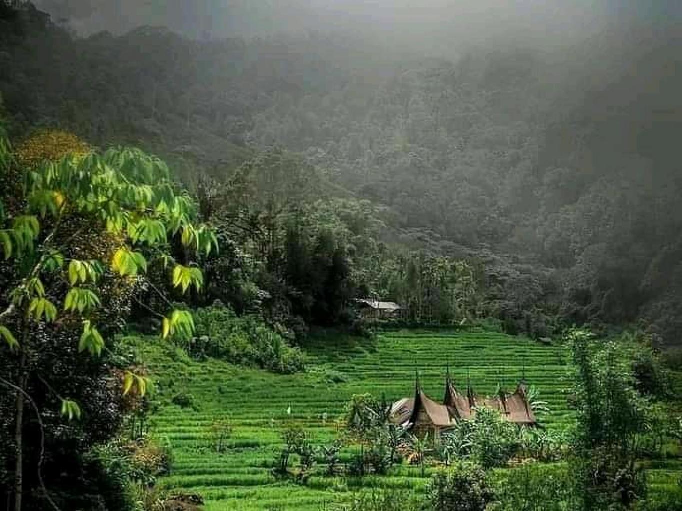 Nagari Pagadih