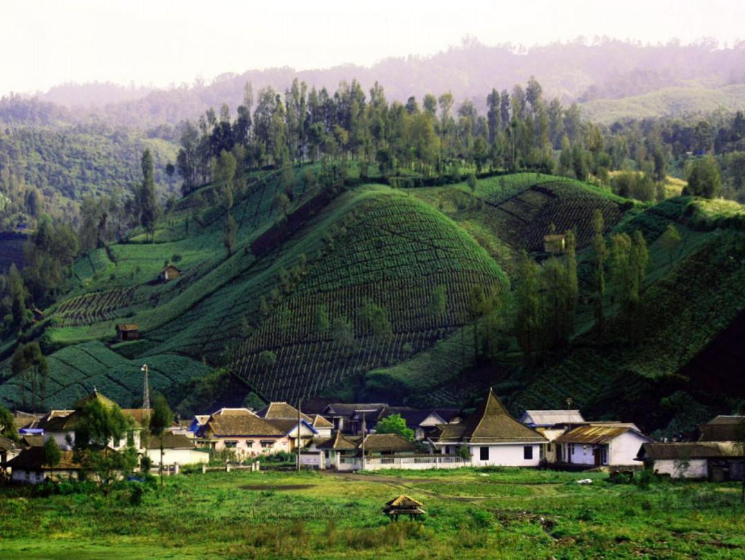 Ranupani