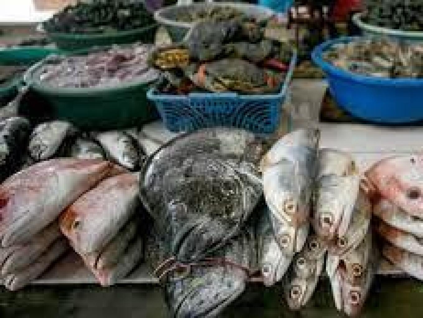 Ikan Segar