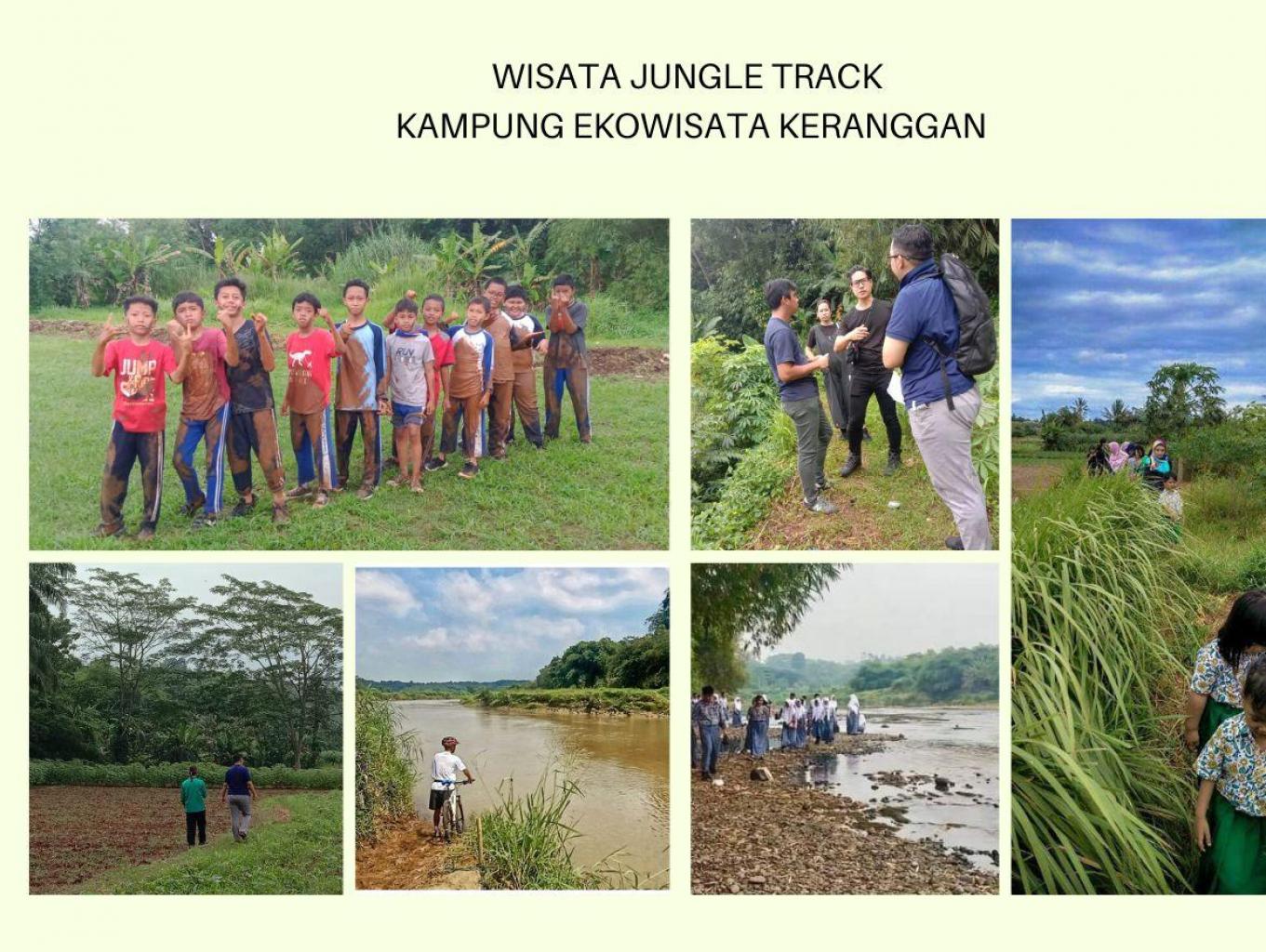  Junggle Trek 