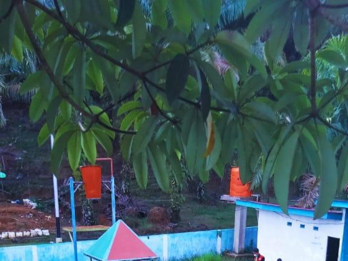 Kolam Renang Anak