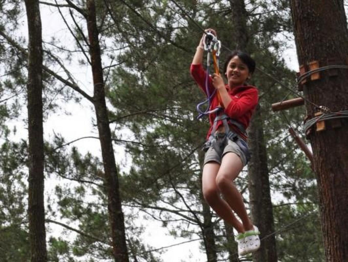 Flying Fox