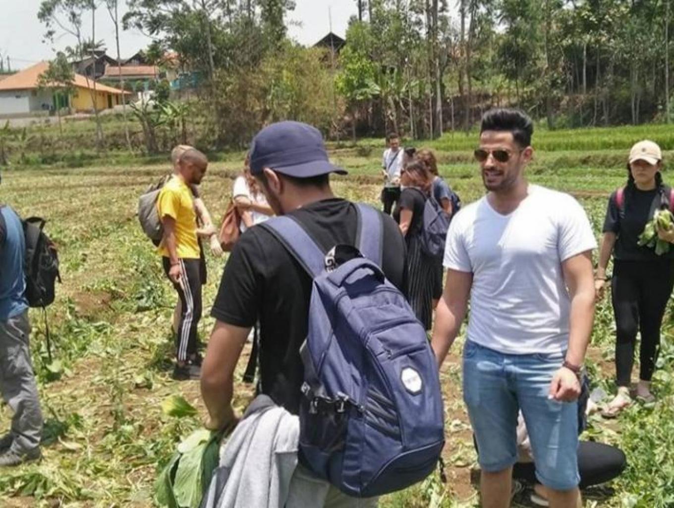Paket Edukasi Pertanian Sawi