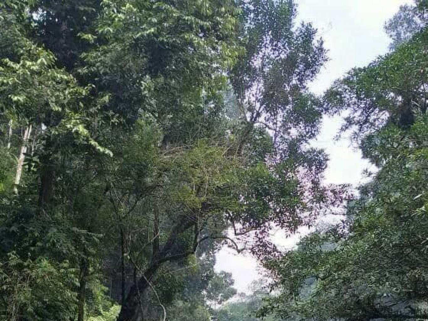 Spot Batu Raksasa