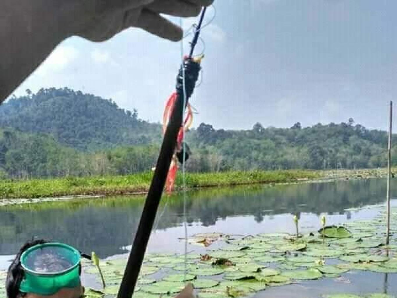 Menembak Ikan Tebakang