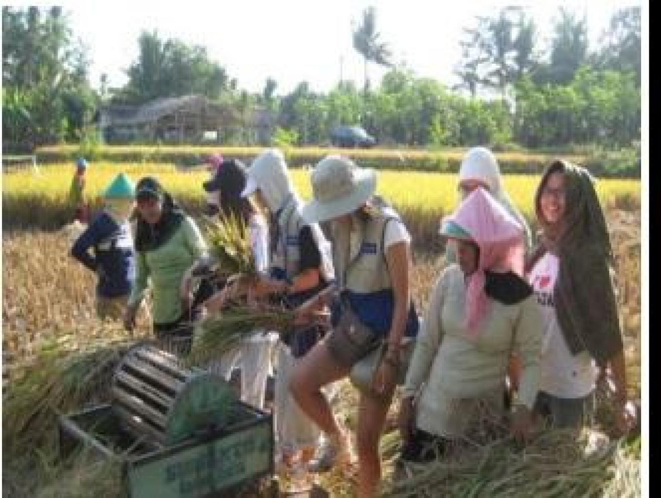 Permainan Dan Aktivitas Tradisional Masyarakat