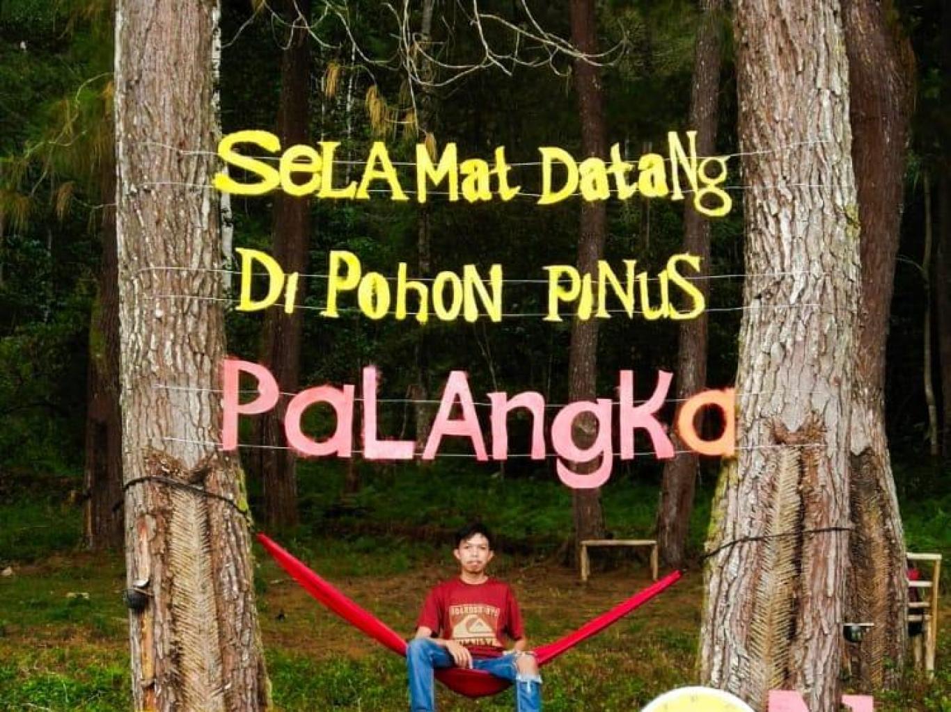 Taman Wisata  Pinus