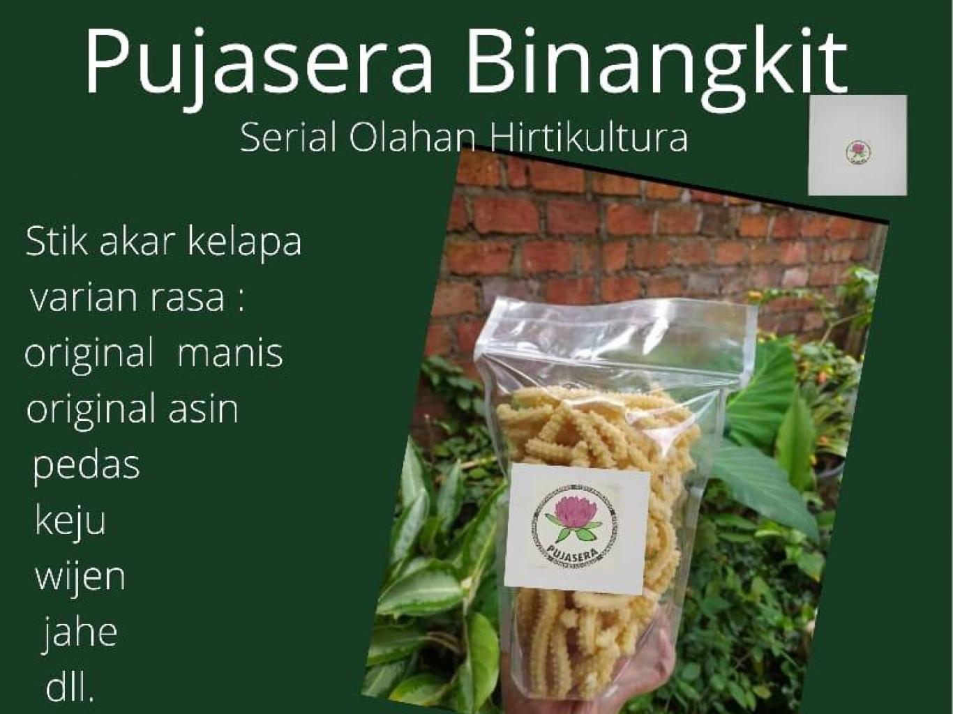 Stik Akar Kelapa