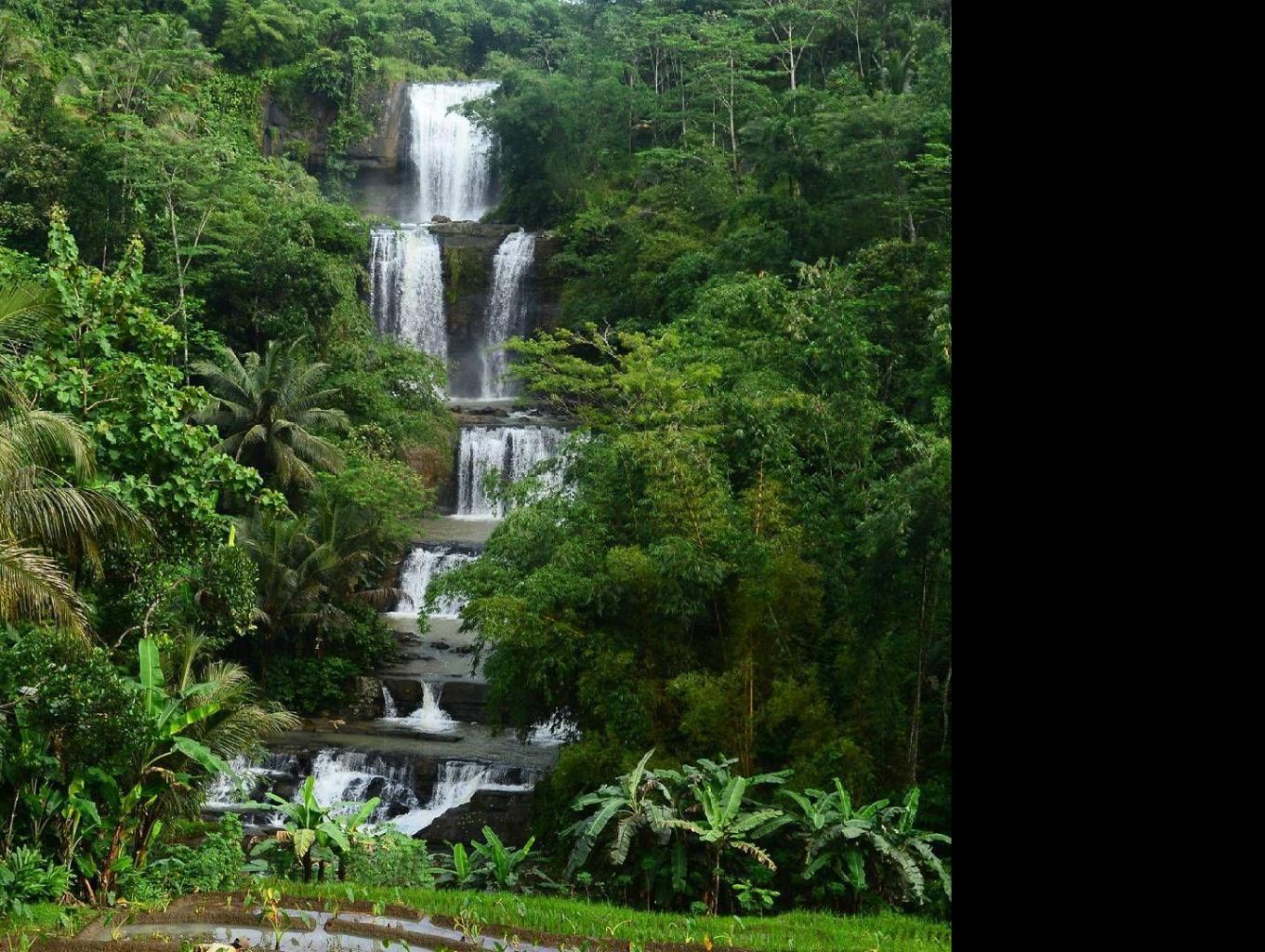 Petahunan