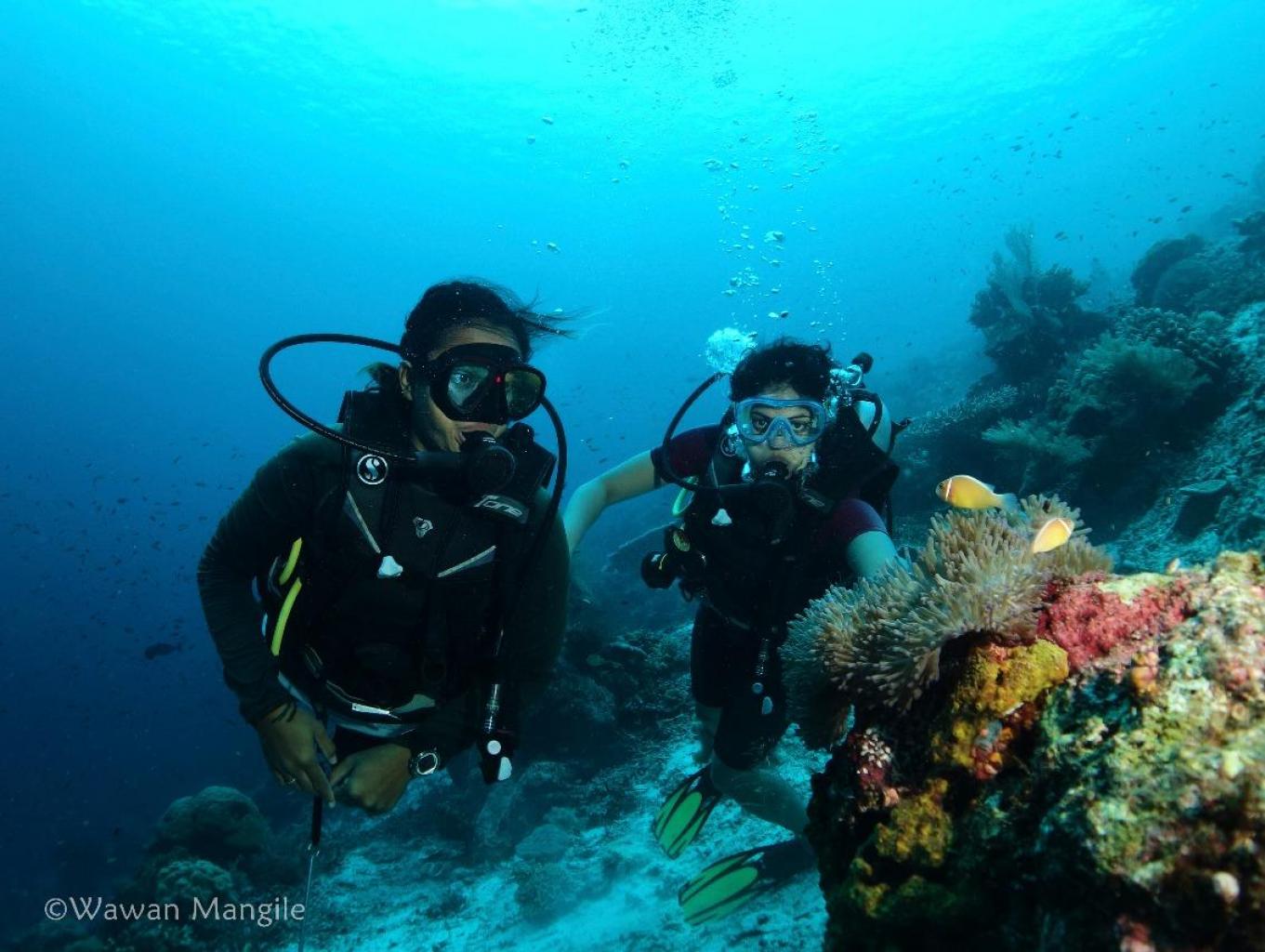 Diving Center