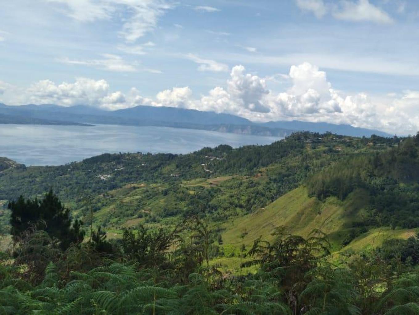 Sihonongan