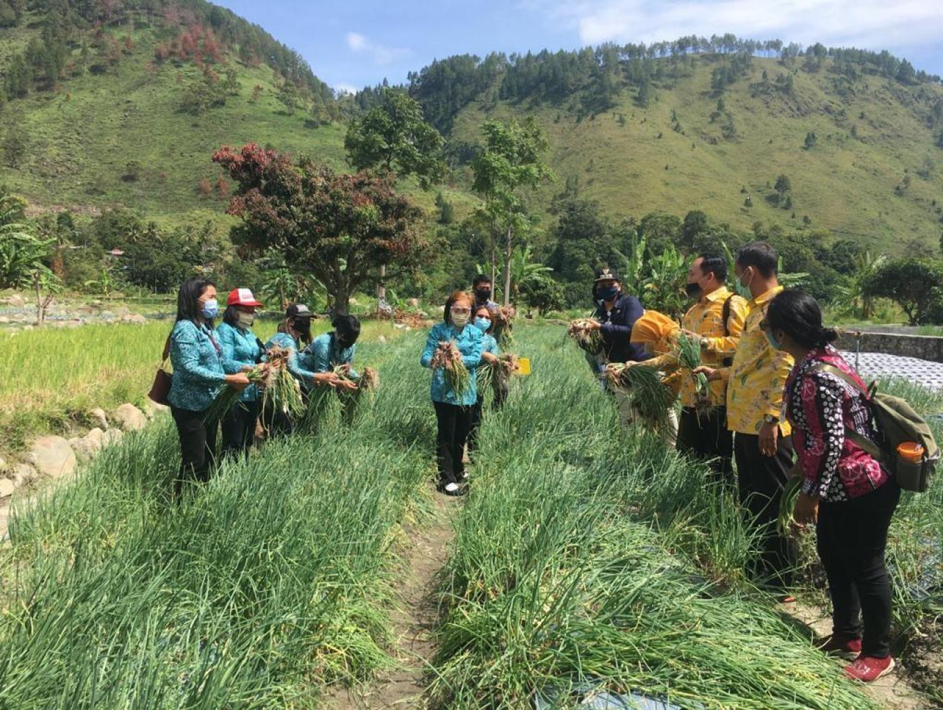 Agrowisata
