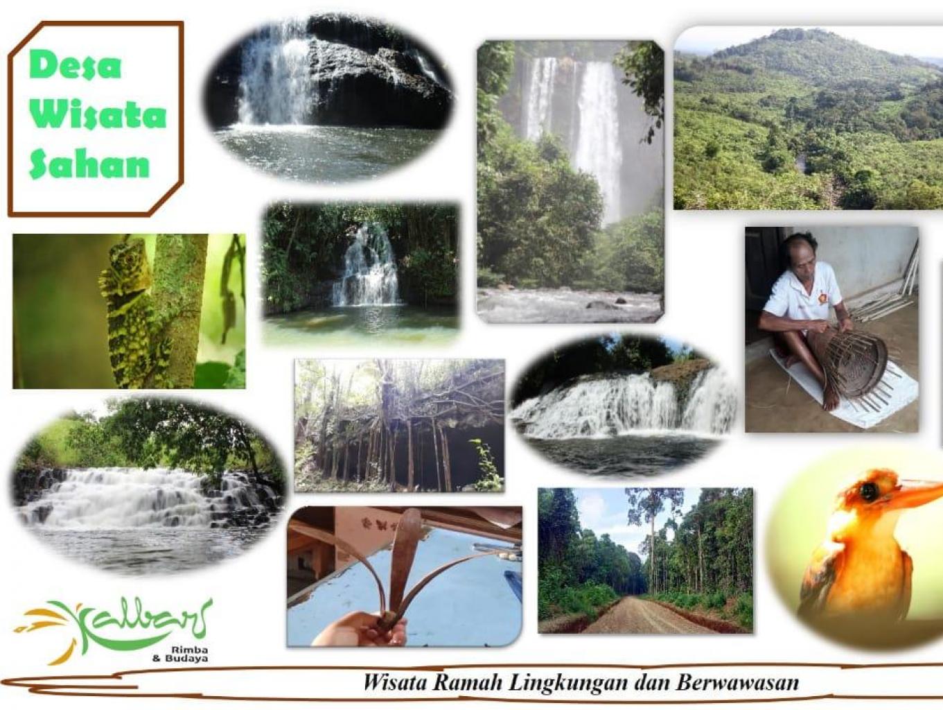 Wisata Ramah Lingkungan Dan Berwawasan Hutan Adat Pikol