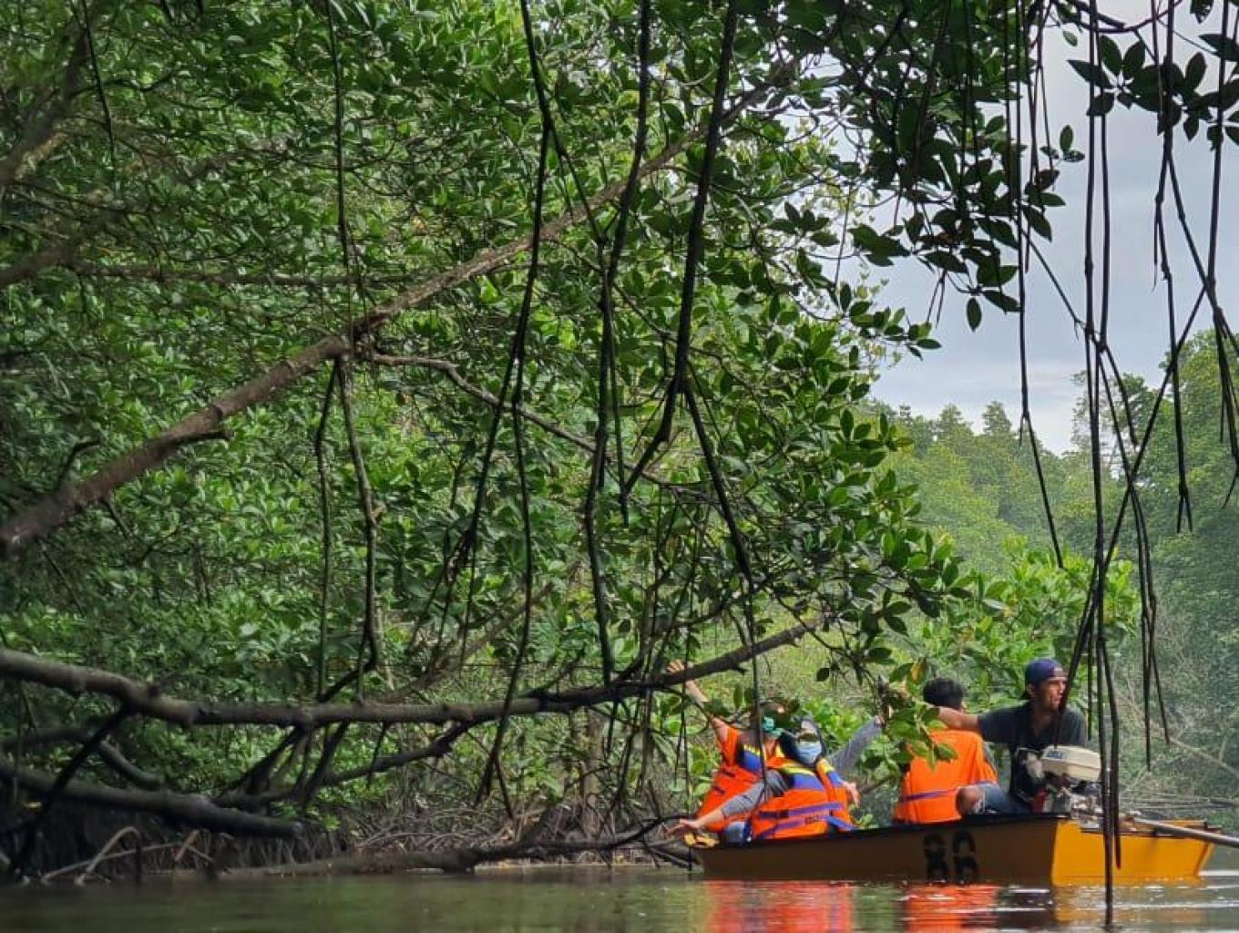 Susur Sungai Kanibungan