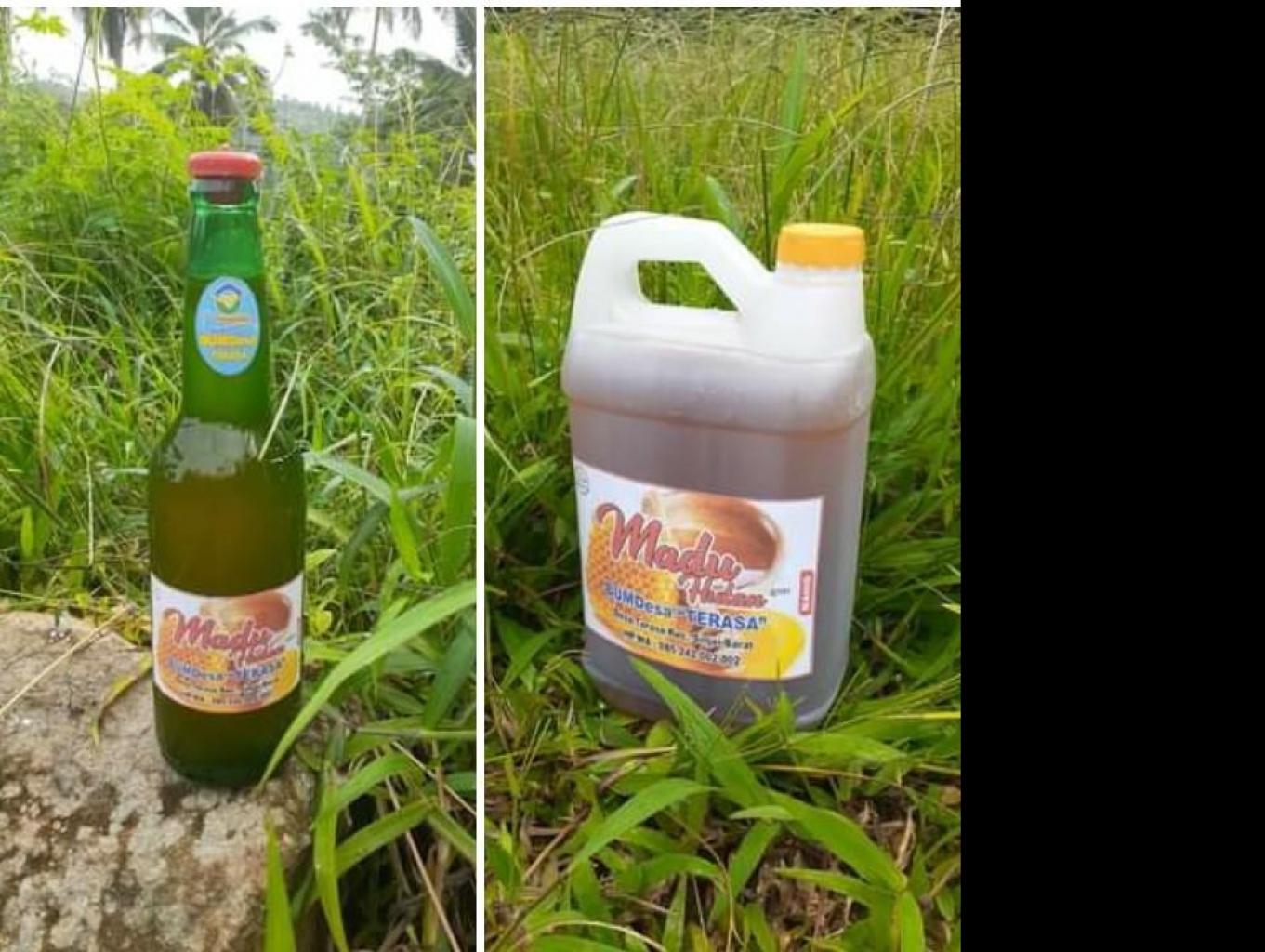 Madu Hutan