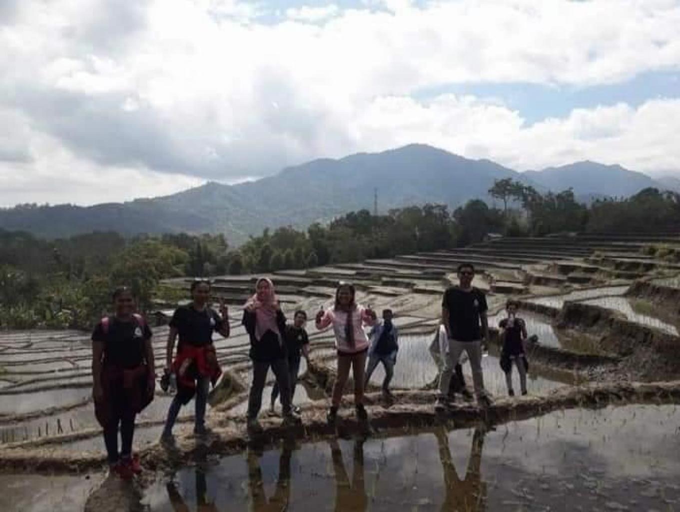 Susur Sawah
