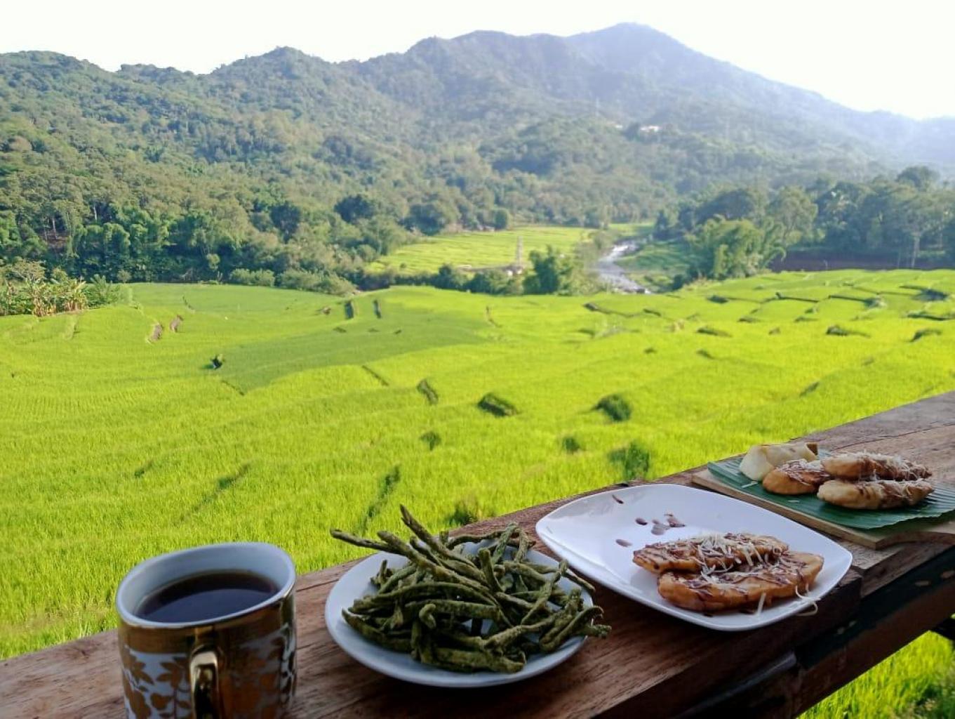 Sensasi Ngopi Di Lepalio Cafe Tengah Sawah