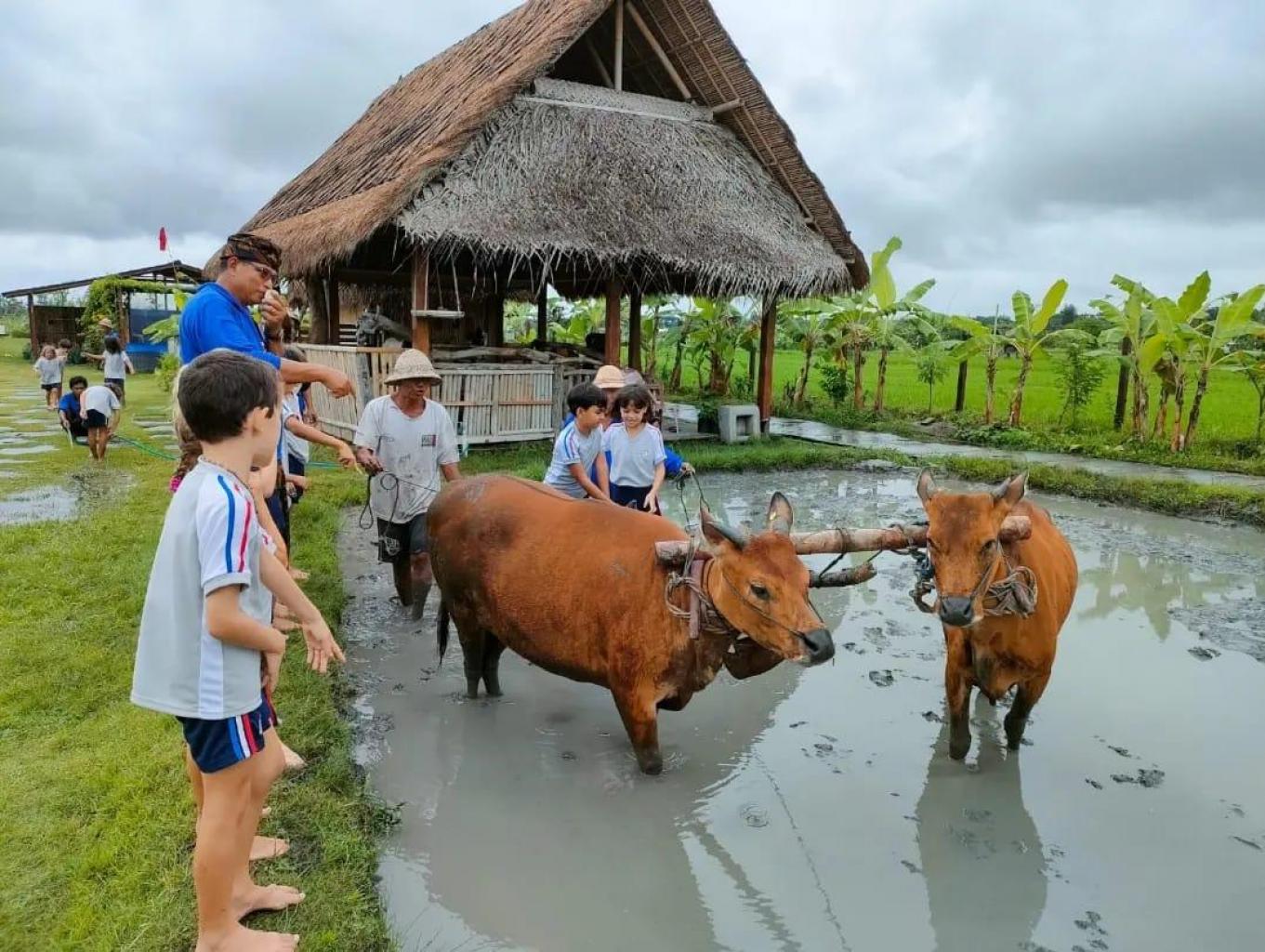 Kesiman Kertalangu