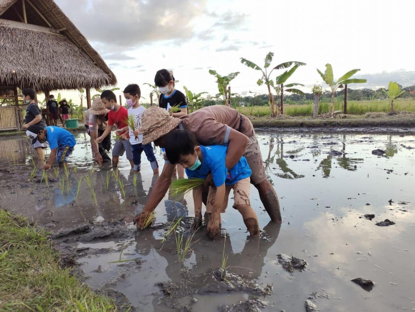 Kegiatan Edukasi Pertanian Tradisional Bali