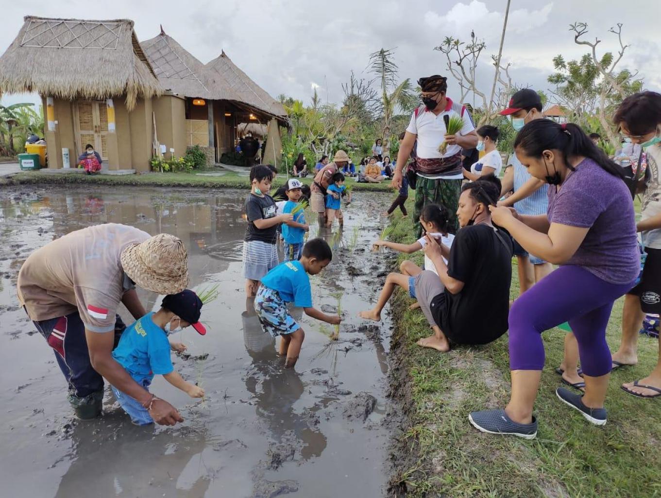 Paket Wisata Edukasi Pertanian