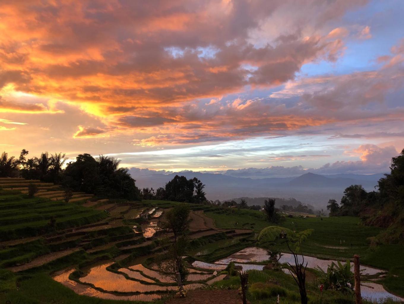 Panorama Kayu Kolek